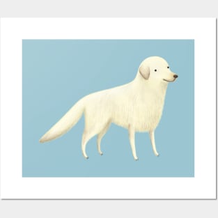 Golden Retreiver Portrait Posters and Art